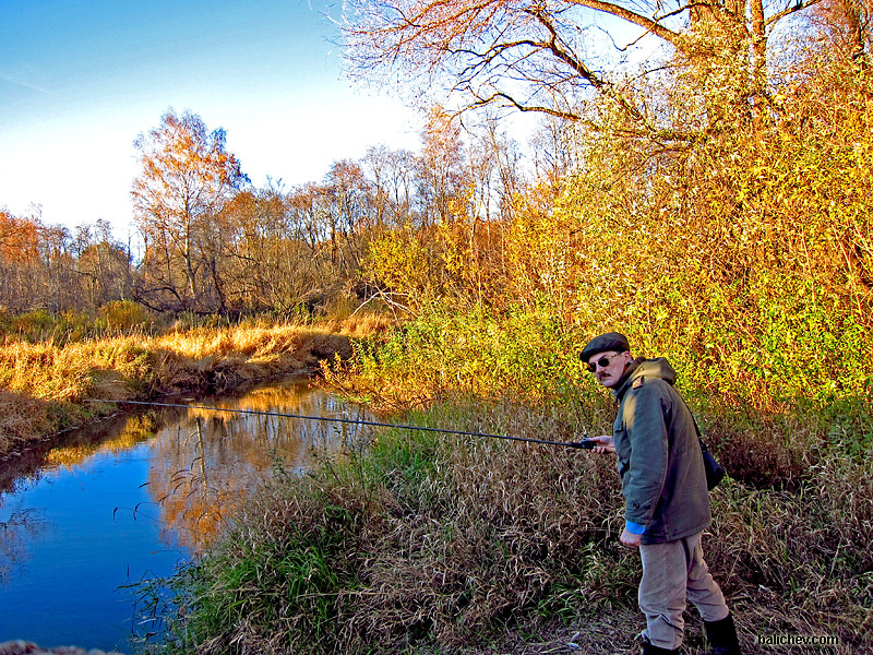 mormyschka im Herbst