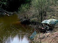 рыбалка на лесной речке