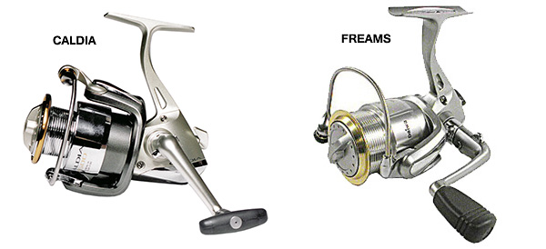 daiwa caldia freams