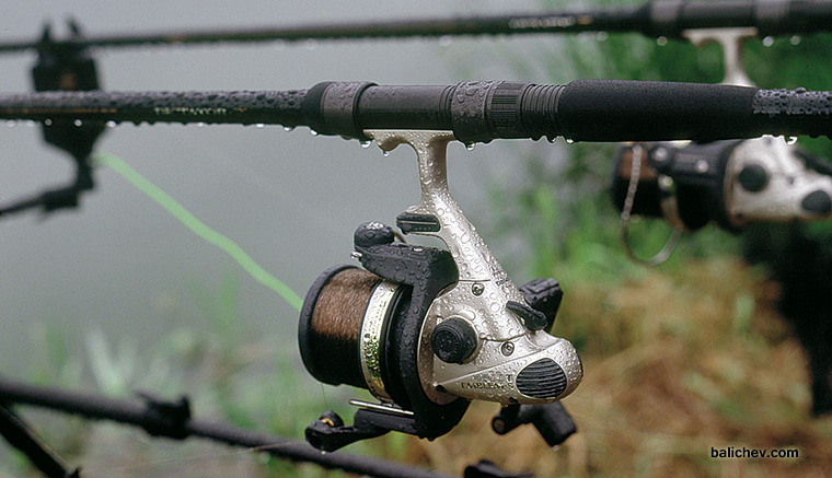 daiwa emblem-s 4500T in action