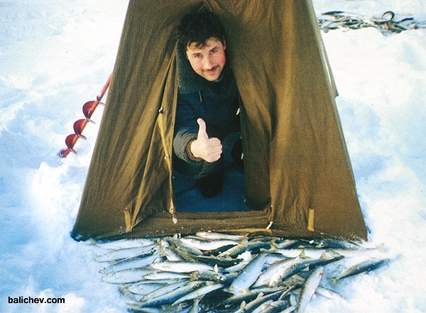 С уловом ловля на камчатке со льда