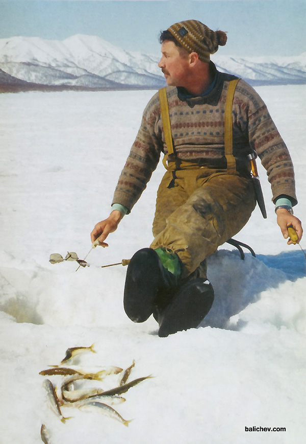 ловля корюшки калыгирь камчатка