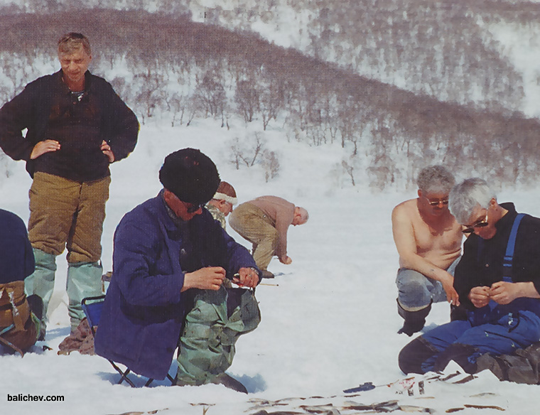 ловля корюшки со льда