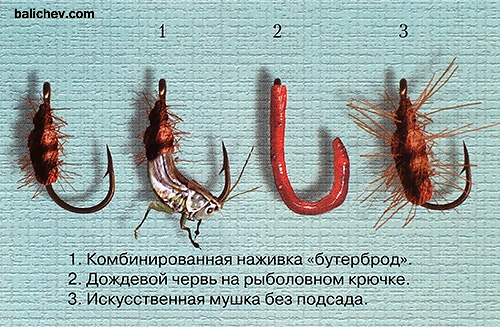 байкальские приманки