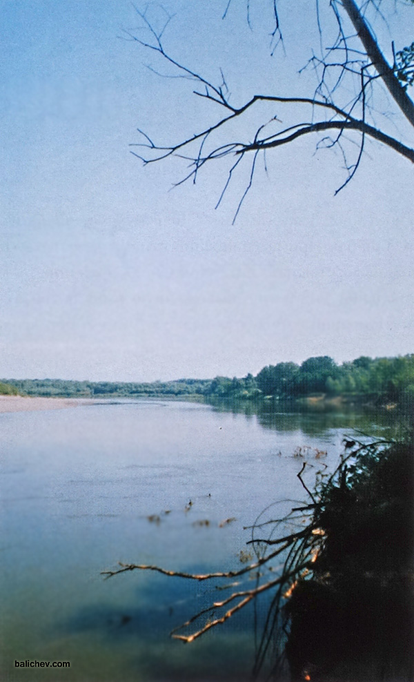 ловля в коряжнике на реке