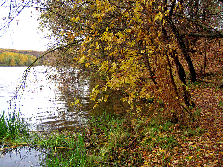 золотая осень на реке