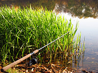 простая рыбалка