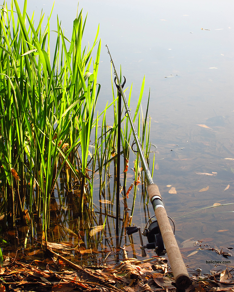 простая рыбалка