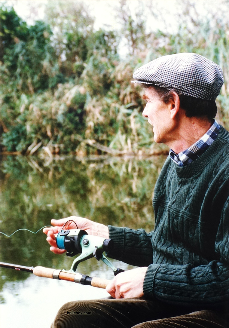 ловля карпа в корягах