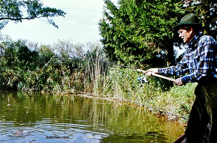 вываживание карпа