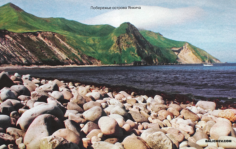 на острове янкича