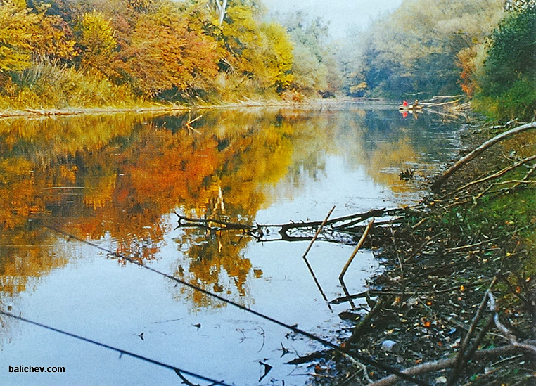 ловля щуки осенью на старице