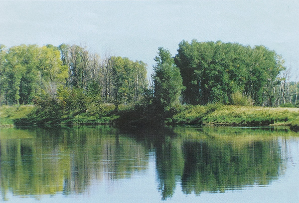 ловля на реке в проводку