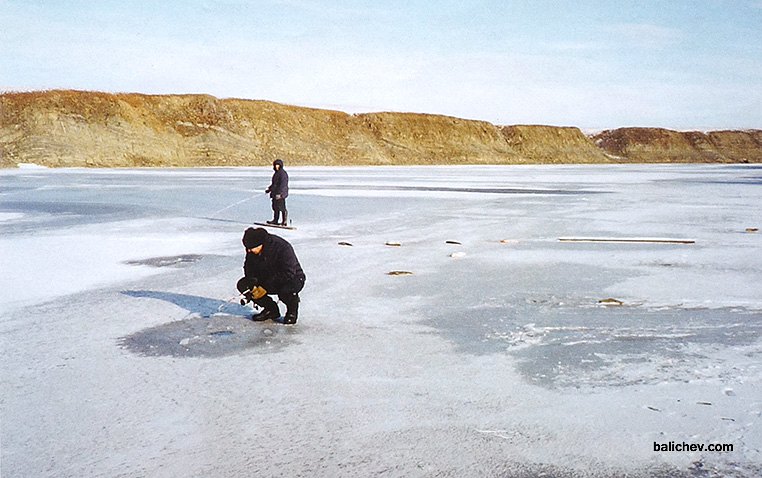 ловля со льда на таймыре
