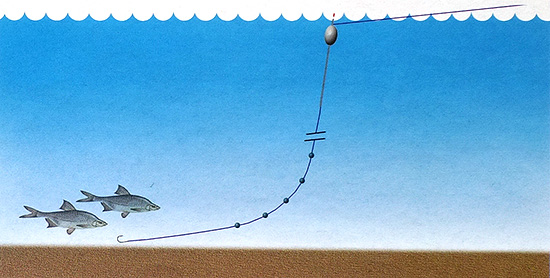 оснастка на рыбца