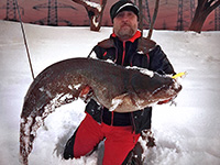 сом в москве-реке кутищев