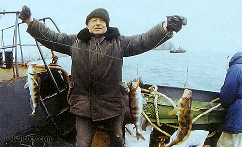 как поймать терпуга