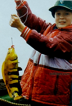 терпуг на камчатке