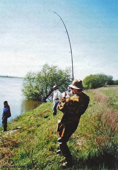 Поклевка! ловля сома на оке