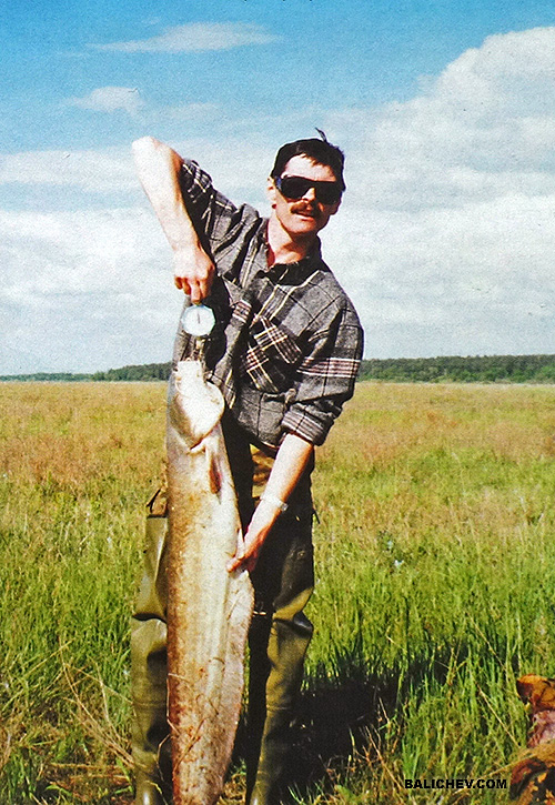 Автор с трофеем ловля сома на реке Ока