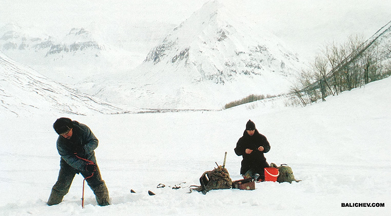 За гольцом авачинское озеро ловля гольца