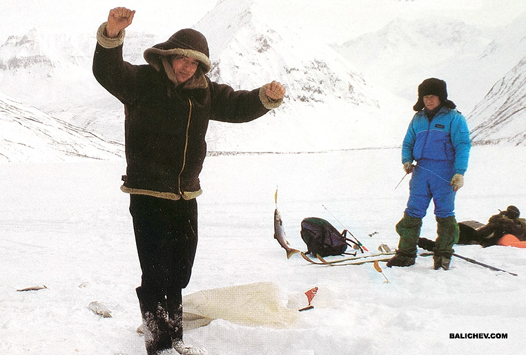 Только мелочь авачинское озеро ловля гольца