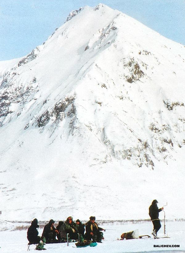 Скопление рыболовов авачинское озеро ловля гольца