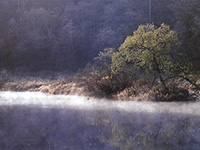 ловля на зелень осенью