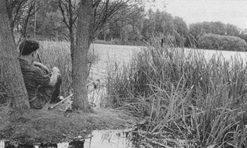 ловл\ карпа с островка