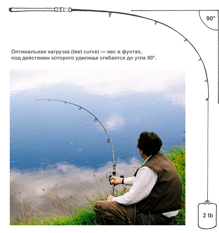 Что такое test curve карпового удилища?