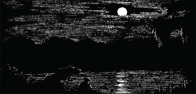 карпы в ночи