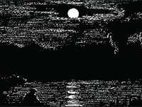 ночная ловля карпа