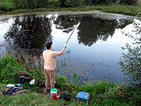 ловля леща матчевой удочкой