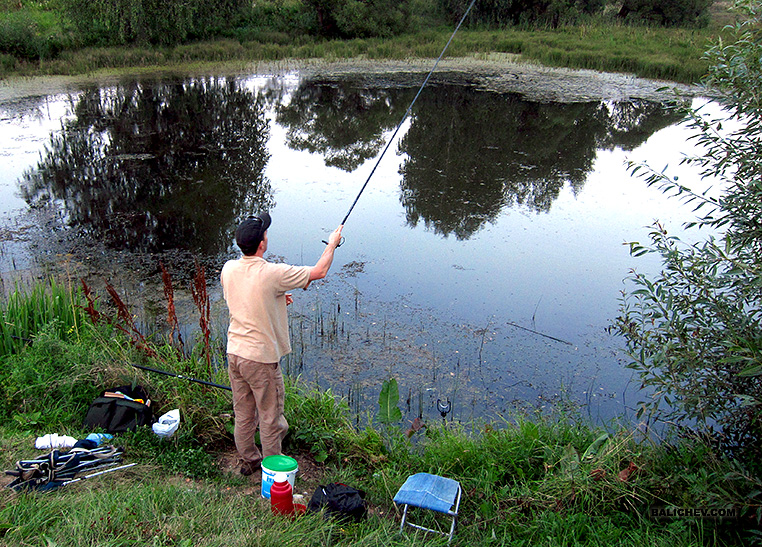 денис думченко английская поплавочная