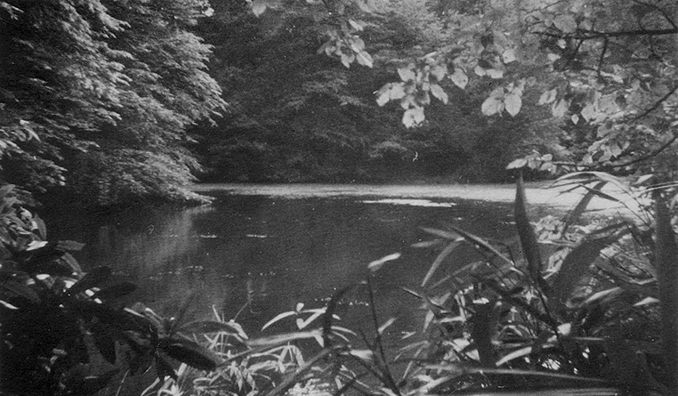 таинственный водоем