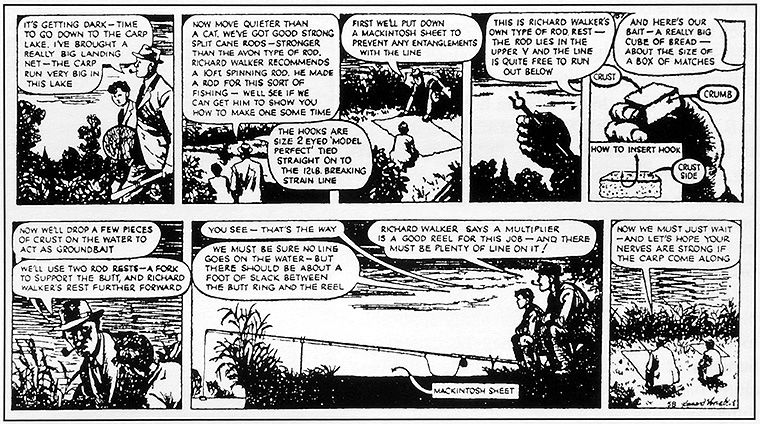 карпы ночью у берега