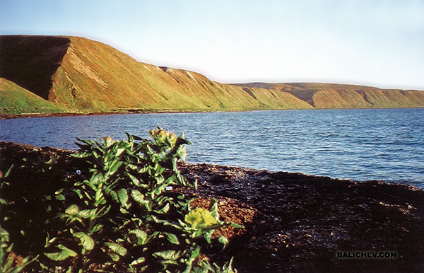 мыс федоскина остров беринга