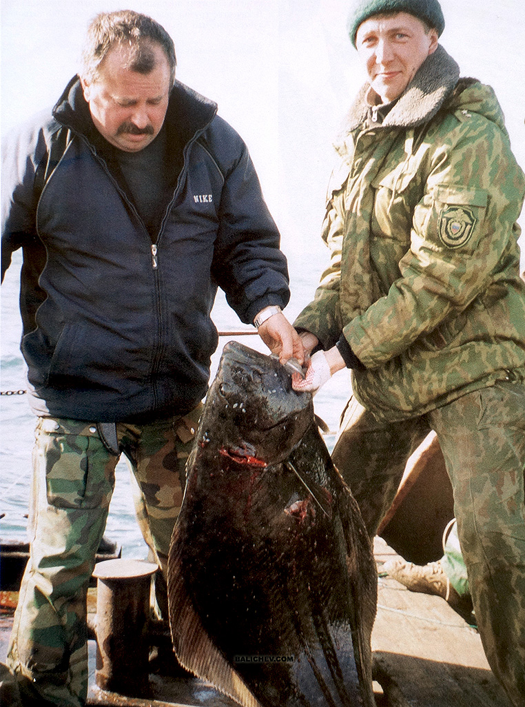 ловля палтуса на острове беринга