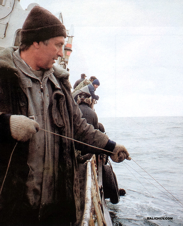 рыбалка на острове беринга