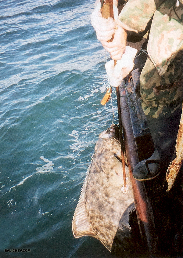 ловля палтуса на острове беринга