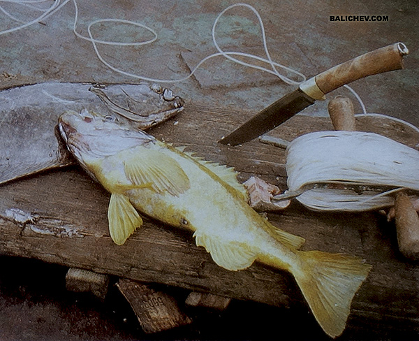 ловля рыбы на острове беринга
