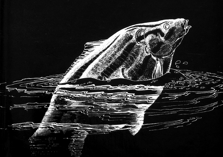 ночной карп