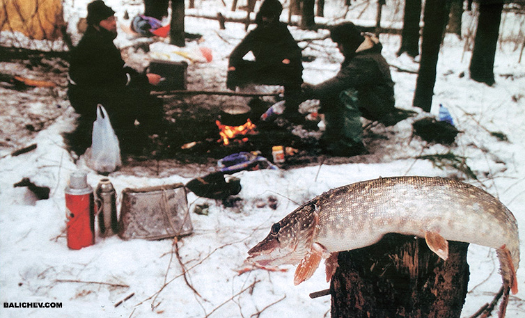 рыболовы у костра