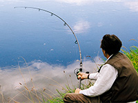 Что такое test curve карпового удилища?