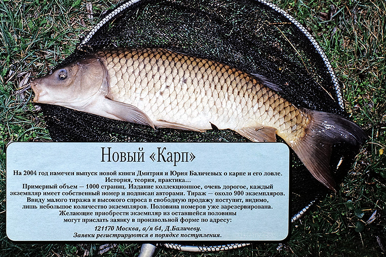 анонс новой книги баличевых о карпе