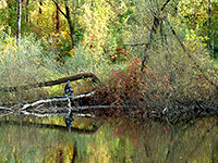 осенняя рыбалка
