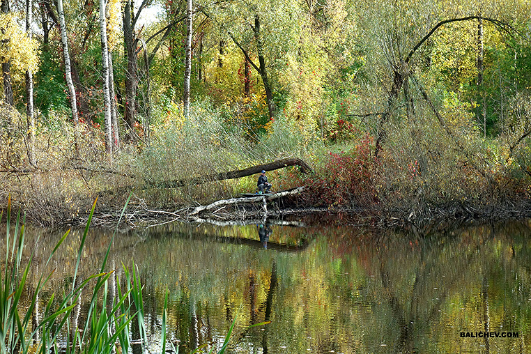 осенняя рыбалка